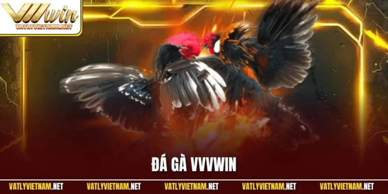 Đá Gà Trực Tuyến - Đa Dạng Kèo, Trả Thưởng Cao Chỉ Có Tại VVVWIN Đá gà trực tuyến