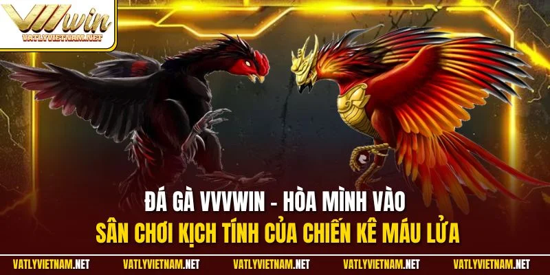 Đá gà trực tuyến - Hòa mình vào sân chơi kịch tính của chiến kê máu lửa