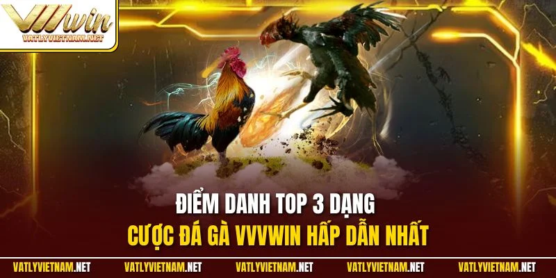 Điểm danh top 3 dạng cược đá gà VVVWIN hấp dẫn nhất