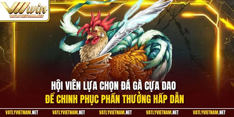 Hội viên lựa chọn đá gà cựa dao để chinh phục phần thưởng hấp dẫn