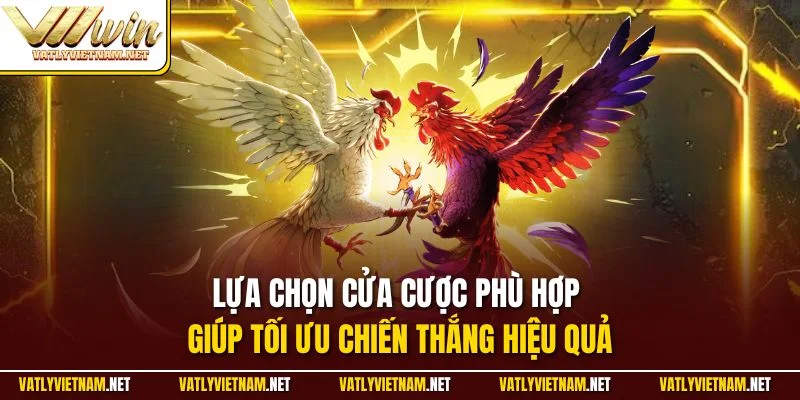 Lựa chọn cửa cược phù hợp giúp tối ưu chiến thắng hiệu quả