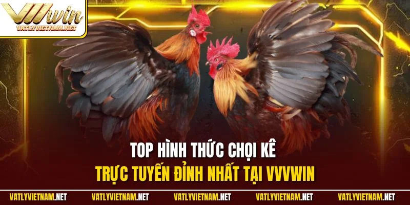Top hình thức chọi kê trực tuyến đỉnh nhất tại VVVWIN